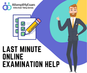 Last Minute Online Examination Help